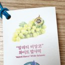 디자인봄VOM