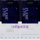 나무늘보,요정 이미지