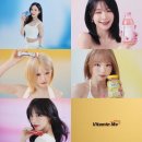 나인 bnt뉴스