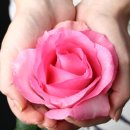 와이산부인과의원 이미지