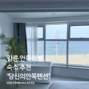 안목 | 강릉 안목 숙소 | "당신의안목펜션" 솔직 후기
