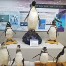 부산해양자연사박물관 이미지