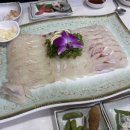 브라보트립