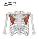 홍익한의원 이미지