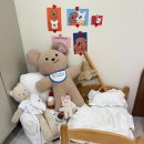 현애견미용실 이미지