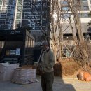 데일리구제