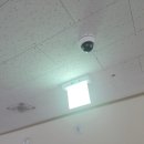 에드가6차 이미지