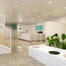 디어도그 이미지