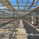 유리농장 이미지