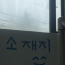 GS25 황성청우점 | 신대방역 카페[소재지] ☕성수 느낌 나는 혼자 오기 좋은 나무 뷰 카페