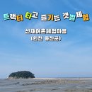 백학어촌계 유료낚시터 | 기록] 트랙터 타고 즐기는 갯벌체험:) 주차, 체험후기, 갯벌반조개반 동죽포인트, 조개해감 등 - 선재...