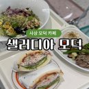부산 사상구카페 샐러디아 모덕점 샐러드 샌드위치 도시락 메뉴