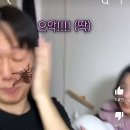 이ㅡ카메라 필터 어플 뭐야??벌레 필터 이미지