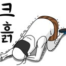 멍멍분식 이미지