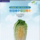 청정절임 Daum카페