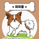 나는댕댕이다 이미지