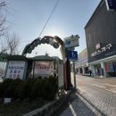 스노우즈 이미지