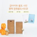 정원사진관 | 강아지랑 가족사진 찍을 수 있는 평택 정원 셀프사진관 내돈내산 후기(사진찍기꿀팁)