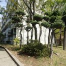 신월아이파크공인중개사사무소 이미지