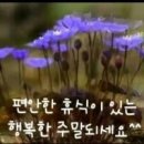 당구포켓클럽 이미지