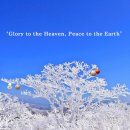 오리여행 이미지