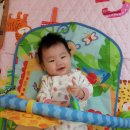 붕붕자동차 이미지