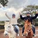 동백해비치펜션 | 서귀포 가성비펜션 솔직후기, 회까지 포장해와 먹으니 미쳤다