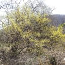 건봉목장 이미지