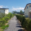 삼흥농원 이미지