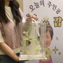 나나스케이크