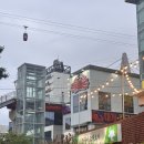 거북이물회 | 삼천포맛집 추천! 전복물회 신메뉴 나온 거북이 조개포차 방문 후기