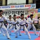 신흥 태권도 이미지