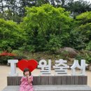 월출산 여우네민박 이미지