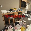 비키2 이미지