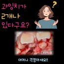 새벽치과의원 이미지