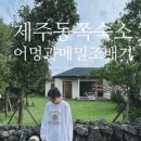 어멍과 메밀조배기 네이버블로그