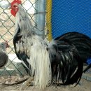 준호농장 이미지