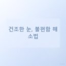 양정베스트안과의원 네이버블로그