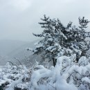 광주 지산유원지 팔각정 주변의 환상적인 눈꽃설경과 화제글 `아들에게 주는 글`{음악:무정한 사람과 굳세어라 금순아} 이미지