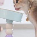 민트도그 이미지