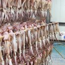 영동 여인숙 이미지