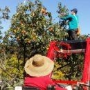 상주농장 이미지