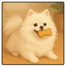 도란도란케이크 | 도란도란 케이크 솔직 후기