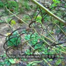 한민농장 이미지