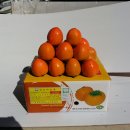 조아농장 이미지