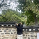 남간 | 대전 남간정사, 도심속 고즈넉한 한옥 포토스팟