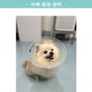 호박동물병원 이미지