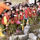 대연유치원 이미지