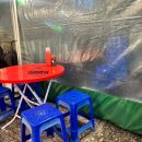 매일카센타 이미지