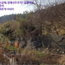웅천읍두룡1리마을회관 이미지